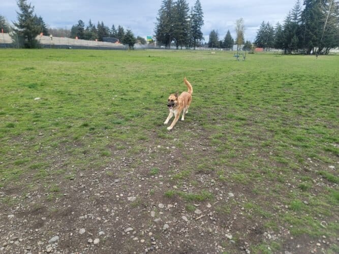 AC9h4noLBgv4kNq2anfJQGi6s3Ui s2QDzacmrQ6m5oqHWkXV393kl0 l6Lyjn4QB8 sBiY1vwvhgdAtVQux7AP6IZV56zGzCz74p2fEw1600 h1000 k no