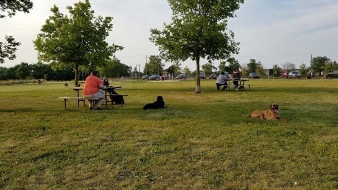 AC9h4noLI3iWf0GmiukGaQlx6yCs2kjlrAy cNoJ0va3 VRPNAFC8Z3cJgh eb27cnA1a9OK2OZl9fL3em6JJ Cyecv0g0R1lg H7eUoBmrFypIfZvHhYUKJXUBYTT57CoRjgzqSBoLKwgw1600 h1000 k no