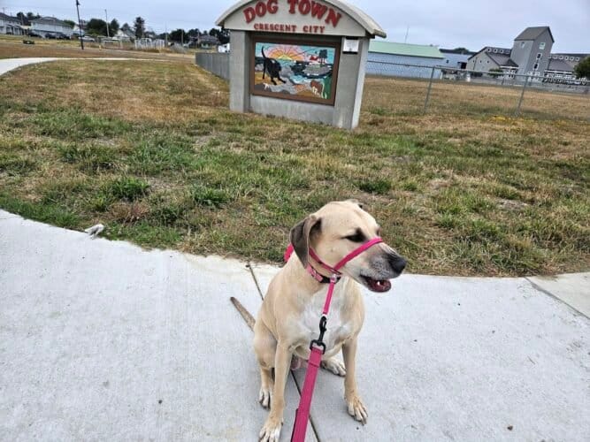 AC9h4noLXd2Le7AWqQ1rs5U8NVfGirFUX1 dwID dutH5PUkLYESxRYoAB i7pHI89su7IgtBeJE iZKO2OJHZi7ZWHwsooxw3LOvZLENEnkojlLzEdI9F64ji iwLi1MnFWU7vXkSU9Fl FSP4w1600 h1000 k no