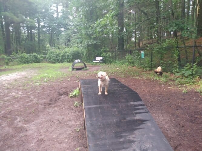 AC9h4noLdJQDGmorL8tdNn p23ssXHb2awtHzw0by JBpJN Bl7gKogkH85tEjO4CPKp5pmuqK8MHXL7VvSbv8P1vUhIjzuazqUOiERe48iRyZ1HyA4L93CDm3imuuaqe1XiiKg55Ug6w1600 h1000 k no