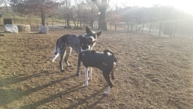 AC9h4noLgP4h2ZAA86apxiYpKCGuES2t29 7sDTXQ0VvZOANA9 evrMSmQeStgLsz4mEtQTqF1raXlrZjCuDvkXKCCQCXKD7Vb6sHxAdF0H2Andl8Q1bUs5KBvyDyhRthneMwqP2iRWhRAw1600 h1000 k no