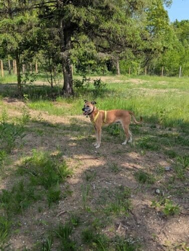 AC9h4noLlfilm2nEow2dlH9q1zOSQeuQanHqq2VqztbBEIp7 64WcVYHEK7v6QPaTDCTUHlQYPofhaG88tBpZwwiuOOIwjku8KFTyLQEfJnRPxjcx7dsryNYhJnU7h2lTSu476ZmFZw0w1600 h1000 k no