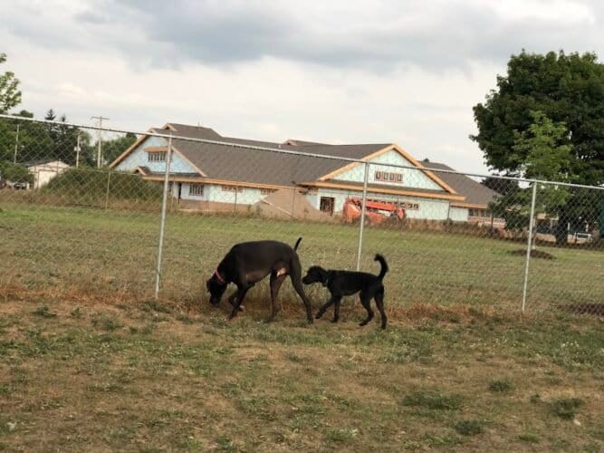 AC9h4noLmxjjPxbmV9PlM4q2476118UdmqB1 tWXql5f8rsRA5F6TDZcYA6j9Tiuc8AwVXUZ dMJBg 3DdYVK9R4quaFD6zfs6wAYrouisys8atbjsx1A8ygjEo3 5tJAGhTrp Bh0i0w1600 h1000 k no