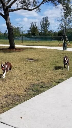 AC9h4noLoTxMgG8OCXiZuCdCRgaOgjyvzP7O 8Ng4nkfG2tZFmR4LJXE1CRp9rjVyU phXhOeTWWy9PY Weblgjh Ap1TukFmm2UqU0pzKLfcEuKUxxScQvyu68J4IAQDAVjhnoMUV6w1600 h1000 k no