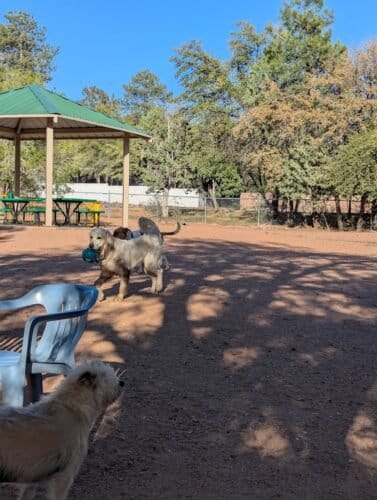 AC9h4noM 6rK1R9uj3s027cegzlT2ym1DxU353HWJldmmILEDThoWrQ4uui1g9LEnS0kpdcmzJK KjuDRsufdvSg9uUOSCJ 0mn Z8LQVKp7Ypc swf2u3lm8ZSufx7x0p HZFHaViIXNAw1600 h1000 k no