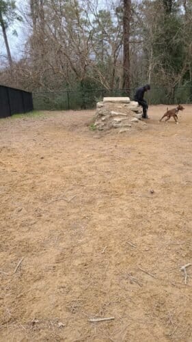 AC9h4noMJUWGdhkjgMLjCbifTO2gpcr7SftuAE3nMUAyWuKTgzSADDYiT3tYTKH0yo4bRZkSdmYLL2KOX3nt8xOjUuZM8ACe0CZky6RGNZptJzMWjGhCpbm7nAznVe123gEj9Hc GMSIw1600 h1000 k no