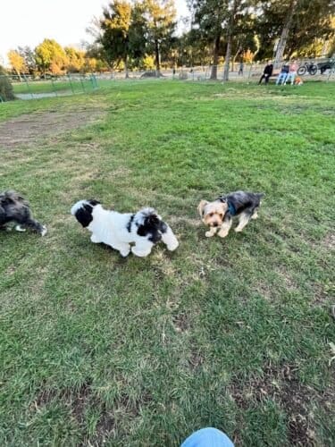 AC9h4noMMn3t1qbE 5iQuvw33BOAcsX1b2UPrrWQT3JAeeSt0YzW4tpzPW6RUmppoCHlcrv0j togKJeauImDPeioAoQngwD1JCq3qu7olpaS0WI6VWaE6G wp65PJIyRA9OZS29U5rNVww1600 h1000 k no