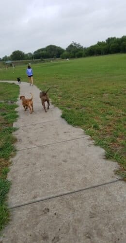 AC9h4noMR7Q2KgGSA17Iu9F2hSdaaO2eafaSbuzVsVSSyb525bzjQe9wIc RkxN5oHbQx9Y1y4vtfMsCKMjFox XGz8Ops2MyXtcj7q1w7bkI m7vyXgO DsvwLvXSnsf2tQW2fFnyRCjQw1600 h1000 k no