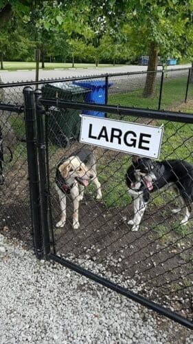 AC9h4noMWiFfc2AOI8nUMjqhkMrFYYNohHAavZy kGZxv3l0XzjsebFxbl8pHCs 9kFzF8BM W Qct8WctrRaatakxgzm4pRFqHqRMTJ89YcQwBCNh84I4NnDQ1Yi2MdRrGsiIQ0ZlkEw1600 h1000 k no