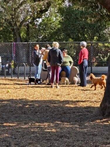 AC9h4noMgYlsyZu8myZNCES8A4jgmcSRr f1tVRcUhSyi vRUvSxjVUvAwpWvlWt 9kylZyZifiror4S82YHhz5krg0q8BaYTDfRXwrM8Z7wEU4 9IpxTwhW8UOXTw TC87Vhw402hjlw1600 h1000 k no