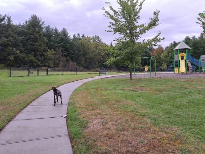 AC9h4noMhB7qe4 rWqWfRwsIY  AHiDtdkkvbFUo3iM qVPDt4JwwbBsqN WqvRddDPX9 a5WANdXQWOSVlHRVyhgEPe3 qrNzWelwj2IcuYS1JJvRDr0JI S3d PM6V1RPy 4kOIeM Tgw1600 h1000 k no