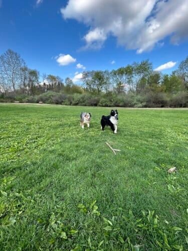 AC9h4noMzOIvSgE8OEQeJ7Y9kcjA3KcNWAUEAU9qpmHMeYOazbKgvTbFx dmIcSoGf rhGx8AB g4BmZnDA gFQdsctbdpRLVenq4ArgWmCFF1cseggnaIOlP0xqSDYML2oRlbFZ6uRdw1600 h1000 k no