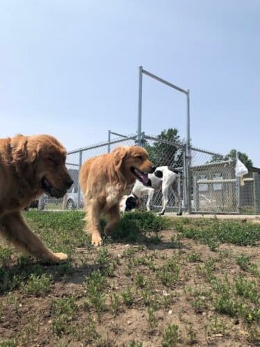 AC9h4noNAGo0RcmzOEk6mrsdEKFjon tb8KIT5r1vbSLdwcD51TMgAJZugD0eIDl3fi3vhF4hS3Ku5ZZ2c1by0Gs3TKr5jKtY3yBIrDoxs0w1600 h1000 k no