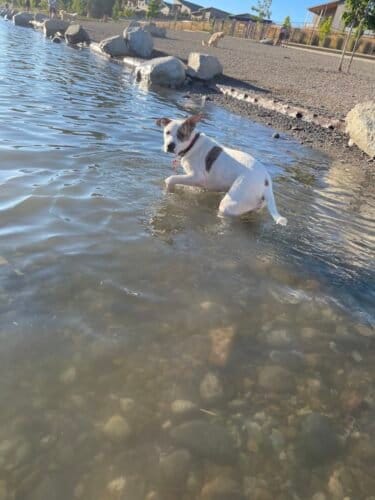 AC9h4noNDqs8Cn7YJoLdNLMRBhSczSEvi bw4M5hndHBjioP8D7sOrD2075rXzyhVRn8bmWPJbuQcRB SQgBxsKGD2BBhZwaY7fJ1b21pAVOfGTPOTsKkp33gYnZtv5uZaqNaYpP9391w1600 h1000 k no