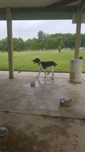 AC9h4noNDwCtSYCiXVABnFIFaFI7U3bpzmg0Gtm rvb OHaLacPrTgA26j13759TPVNBFa4f18JhUc8zCrz6LV7ZGbAKWnxYtO3 af56EfPtvqOczBqnRo10zDVy6qEEy2ACObGVdSkw1600 h1000 k no