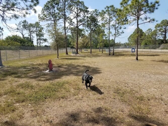 AC9h4noNKrmj PheyO Q3eSBimNskFZ3 Juw ZWZqLxHCChAVnii5HF6NOEKyew1cYvkpZsIXqhz s jqiPrwYU4hZNkQGeswSkNwonOsXnocxBa14ajiVgsQZElwZBH2PAM5tMHijSMw1600 h1000 k no