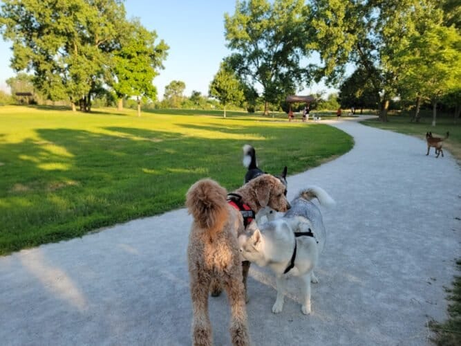 AC9h4noNZHLnzmnB1IGG8ukhFfL iPMFTij8mOtRE6ZibzA3p p8pyQ6Xj 8aCkbBAl6KXUM5Qbcd9hjDhuwxwo XhZe7P0gq8xGGMkSbSKLavqq2jY4F7HXL4rPL 6iafYwyRpEApsnw1600 h1000 k no