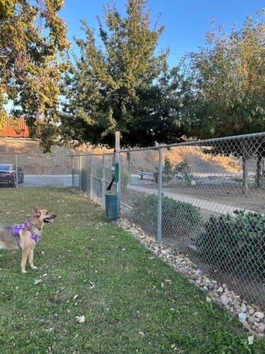 AC9h4noNar 9TaBd7ikB8auDdtsWJkPcH8uMKaZreNzoDd8uCcn0R frXAqm3KnMtsRMj84EC6n NBm yni kWtZS0wa0w8CRFJEaIDTZAhDU0rfJ8jay6nOGRSn2AvXGIt3K7KUAhIw1600 h1000 k no