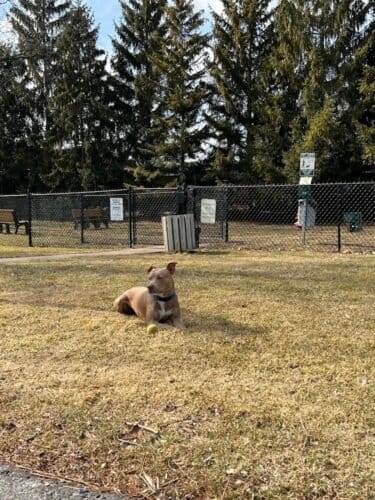 AC9h4noNocpUSZNggTvUA28RRQQyIcUCvyc wzw3Ue5f16fx4MknLyT7KTn 9cr A59KepaYYrGifgr2v537HpBPkG9ZNyOaGXzCA nnutb7r7NJQyxRZvvESJXGnzssK DfhYWhUM57w1600 h1000 k no