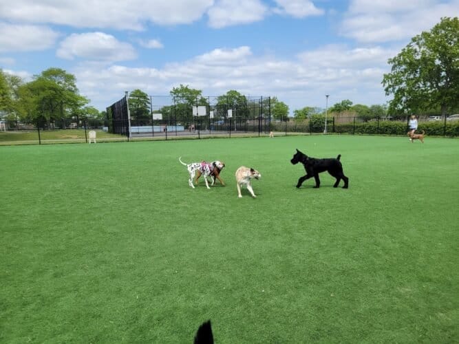 AC9h4noNrV0EsHPm yuP11SM3eg 1nB5a9CPDcjkm1MhUZhl4ZvpwTpII m90EnQrTz0zW4TCZDT0 crrTASy673U05IBc1T4vaFK0MjvBMR3s fw2skc9ibagyj8LgMoktVVon96Uj0TAw1600 h1000 k no