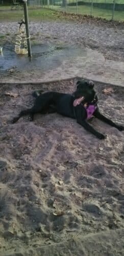 AC9h4noNtOVJiBe0yFBFQ6lvcRBe9QjeRDV8 JBzRRvELctl1Ce1ApxZ08sZs5haF9UUtbKuljFj JIHue9QtuMj38Vn0sZNmFmXZVIUq6HEBCIEPZluweV4t0G8HA0KbLCWK1p3309Yvww1600 h1000 k no