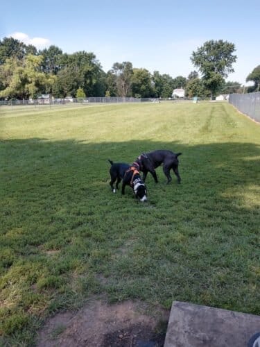 AC9h4noNv0dDpUurkuMl2qfEPP0JKoJNmzw1 VlCIogxg78E3 ebZVi18reeeUlXPYtUaDjRaI OLcUZZNtAjQzQDoJZAktJ9DeZ D1WYQjmz8EdLT ninliIb L fjTATSnSEKi82P2w1600 h1000 k no