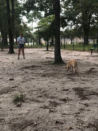 AC9h4noNy 1rxhboiLOx4CyDGDOqdzrEFvRQADA39UyjzBJOVEowTKBO4L xYek4mZ3H0em3nU7Wc804Lo0GviszPxVOiALI660go1pSEhs8F4fHwYtD9FQITVk4gE1aO998mcXhqzriw1600 h1000 k no