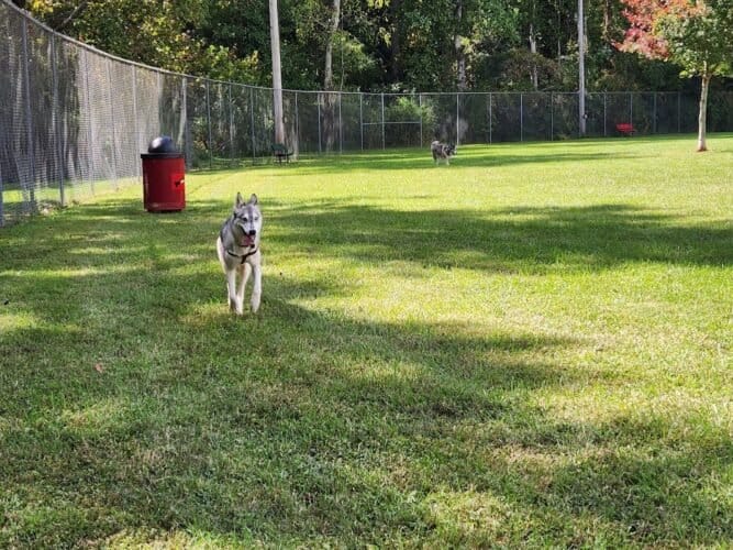 AC9h4noO2I60vBkQjDvd6QjbNhwC5kV hVgfOgd37Jve4 KtV1j5cYPaxNewM97aHLv53fFVXf5qny1  zZDmcVNX3aolAuzts5G9xvhtcWulrWxD3H  thdtqre5NFalH1AFgC80Ppzw1600 h1000 k no