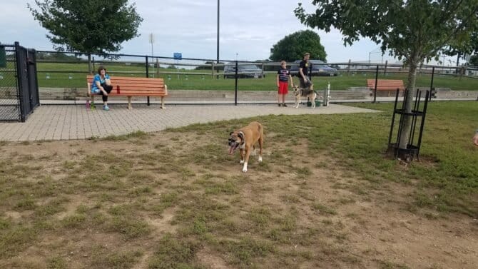 AC9h4noO9tUhmk5FjPsge2vv8gzY56qd1umRvhNnb9tIW1xupt LiqeIY 0mbxmculdfnv8qKItipbSxV6ca112tJVCyxT8qMV8u8MYWNAw1600 h1000 k no