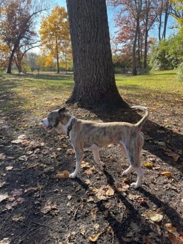 AC9h4noOH5j9AmJI0EKLtsyS0jNCK2yRFXgfHz3oRCXSOz6n UoSv7gxrGNyEkKyfls1DwSUjNgFRl2hmRrpGRwwqWM tju9uYClh hoEOe5ECnSOvhNEOvWlLw2NmlOY4BDRrm0do7Ew1600 h1000 k no