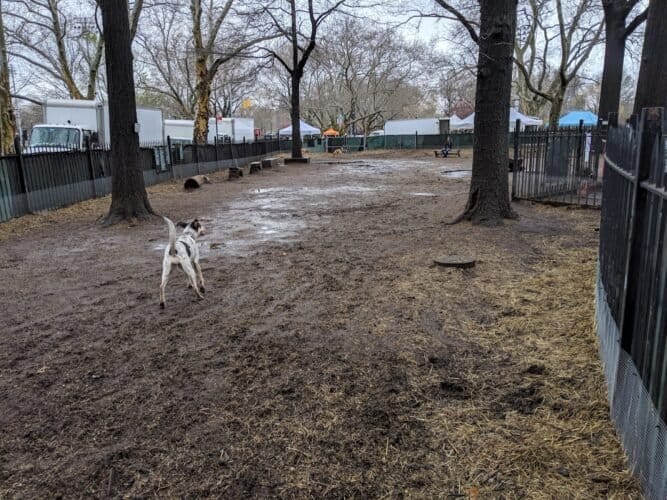 AC9h4noOYnR2fnc0fHeyNtSNeHWLtAoUTQ14Jej5UG31o3sddl cU6Hyj1rpVaVQIoMePmiuzP8cbedmMNOBh8XrAPeAEo A3mMKPsi m9iFsNAS308prpi1qeNKHMoRTyNIyJwIF5aQMww1600 h1000 k no