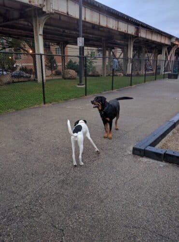 AC9h4noOYp3KYBz5lGWZOCS p dnme4rNNsIH1Z9yUTO7o4 CuD Jbxz9TQp6W 3lc1R3mLL8x9Rh35gcmBMipxBc3MnoOrlI0R16xcxf iMOM6cCzP11KRxHL9Gkse ImOPNXikgfJ5aQw1600 h1000 k no