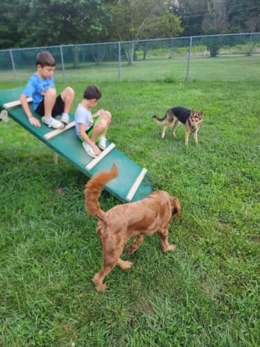 AC9h4noOdIakiD2llYAVy YXIZ1mGMyq2xMHuJ3HkuJ8uKQiCSovXyY2hCeTol9lUtC08ZPG1baYLHhMAPxgJ yGn5pBa7kLlvpnbr1s0L7ADxFu9LLoQquwo1YrYq0v3EWvFyIsUEi74ww1600 h1000 k no