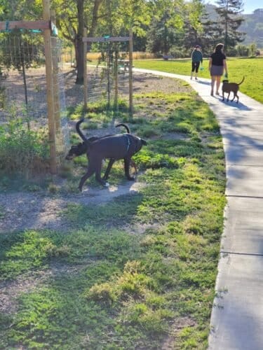 AC9h4noOiYIWA8ul7KS SbW33OE pCf2xYjqbgiWW77tqgWXJAnDZItT4WlyEh9ZrPlSJ7YU8tj8mZ OZIaOeYBsfqaR9gQyro3eY9P2a69TvSK6L8nZngrsNsDHQFcrOnXjU7ZC XIC0gw1600 h1000 k no