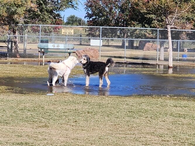 AC9h4noOy6nEYE0 392GdcjdBRYVhZUjfKdNDIgllul0yYZD44K4GQH32DFGw2Hz9ZHBHWIGFqZf2r8ZFveXQ7O4sHJYstbZxqSeDNMtpOC6AeLXKVUBEK4qACQG 6KLINAMpuhdLMy w1600 h1000 k no