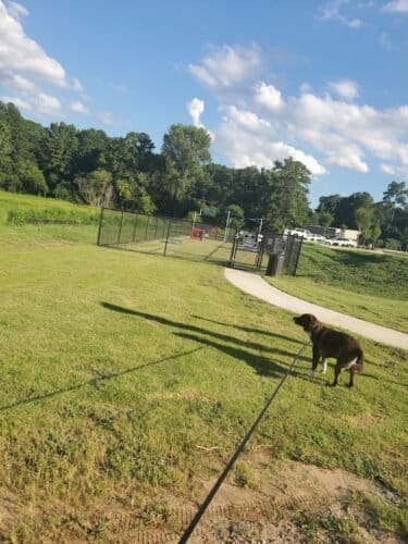 AC9h4noPUVNTeuzlWamkemQ1847aaMVKbAe9RsOyJCUmvjmG1Ctey5ixZHnOVkp82nSniUh5QkWrtth8afHPbWEsTROlxqVdLQJocuTijKny8Oq8 DEXOysbrx6ae6jXWKcEzWPb9pHIKQw1600 h1000 k no