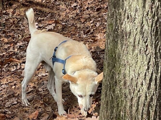 AC9h4noPcFvt11V3TXcETRySQbTgA2hxynwxGgCjQRAGf mSXJtxixuE7qejXpQj1DQcaP wq4Kdvi6aIebWFyOK2rw9VG1afpbVsjXH4DpnggPvj5YQQUphG8tmZCxec XWdZrCP2Nqw1600 h1000 k no