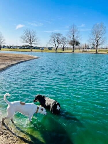 AC9h4noPloVizVzLeqiPes8zbxyX3gWDIFqPt9DOtKrFQMc83V9ZP8jvyXjomRMMHxdsTTsPGU0H5gWd EPtX3wqz2ETfjUY01HmFh5WxAw1600 h1000 k no