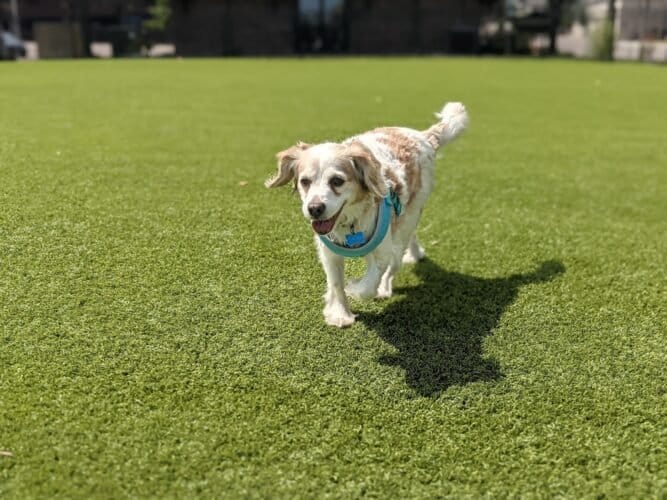 AC9h4noPluYkyXSE2nGRs3R YTuKAk 6C7FWZwIFlr9pcDoRPrFFwbXwWMIHfiCZHEsLRW3EkUgmFcY Ze VRtOoYu rCGU2bHUDn7DXsXTIch8Da0rMjv xPBxaIedUMw7Z47bQaPdnhAw1600 h1000 k no