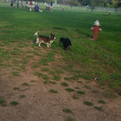 AC9h4noQJW 6m0cGEjafRQqi6DuN03OfAUwDi8zBG8Pj5ap6zYKqdQggxeuWLe9zOFQxgePi IbSW2W99EgpC7udnrqx1H2HLKtH4bk7Nom3YdOX85X9L8eDryRu1c r8aD0y IxlaKmw1600 h1000 k no