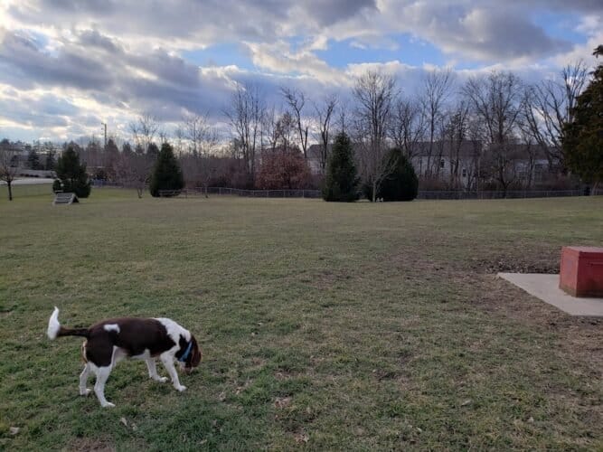 AC9h4noQTILWPT0XNodViZuOhQKIYUib4DNIbgoubsre BZm6v6tpF xCRNnrChqZEbmb9IYtuDQTr9f38 vYF5js5OOEnGDJUgw w3GK5t5ZZmEIiA49yDlGMYk75Hx2bSZt BpWAFLcgw1600 h1000 k no