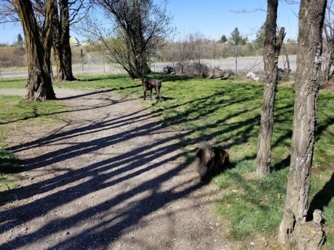 AC9h4noQToD3E6KuZvpyeRM0c4VaLw0BuDslI26OOLCv Km996lU44vk3dLDIjR19gTlR9GekZMxFT0YlXRIDiiQ058fr8I9nFc xw qaHCdKhchduxXdjs4NJK8VO9KkxZu6TxHmxoRCQw1600 h1000 k no