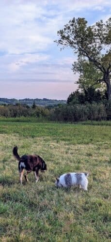 AC9h4noQUeBQjBg5QASqD1NPk1pVRI1Vz9FMPKexv6d8SmMP13T6KupIA0BjC0Y325NRHiBKSbEe5WgLwAK71Mp44uhreLpeTiVs g2P9HmUr3ctSKPUdOWJq3WeN8RvxJpRxJqpkTBfw1600 h1000 k no