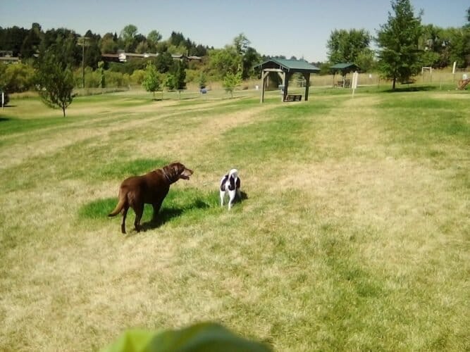 AC9h4noQ 7pW4G5IJbjAf7BZPzP96 HD8Kq ZLH7eZZAVTzhK 0OQfN3O uirsULIE84GgpAuzl1LK972h8 kgxcLgjNSuk xtM2 kiQdy600qiSNx7r0ivFIlxMz1s0WIxraVmk1ww1600 h1000 k no