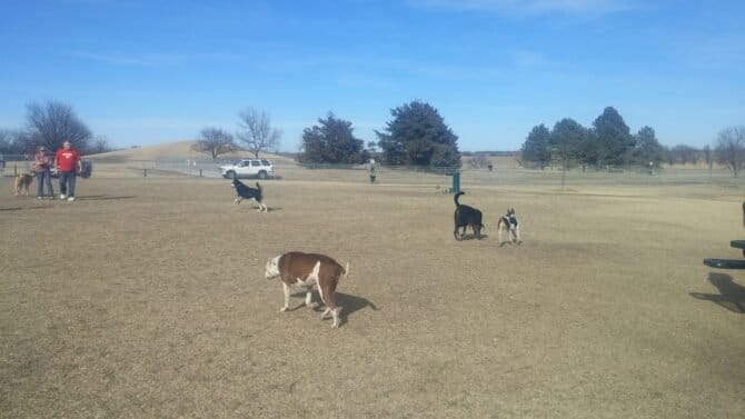 AC9h4noRdy8PUmtGDcsN5J9GVG7kqi XgWy3z0Ujaov7RMtdt9FADRtUhgU8E F7CLiMzGs9S27Lr6xkuXk5Hm1VET N3k9Z272l45g1CqvqiG8576OwK nKx8QOehHZkSaFF32DIRAw1600 h1000 k no