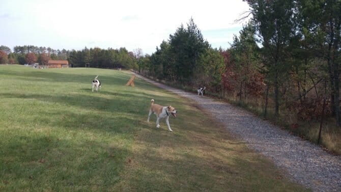 AC9h4noRlY1h2f6st44A6aWiGTltj2W8f 8S9uyvSIKGk aBWgEWnfYoKRE yUyNIkApM3GM9 MXKcyGNYjb4iAJxTrGTwc4c 2MpmmKugw1600 h1000 k no