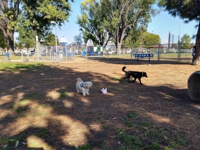 AC9h4noRrs1kNRcU29MWivriMUSNN8Jq rTzX98Gr85KJnJUgkxO USYx8JNyMdkFF0mg23EGxmeV8HL9v8Jt4nlXPAxxjMy VYZYf11elmFa9Ab8GEFypq8CnGmT gDCZhZtVtOd6Uw1600 h1000 k no