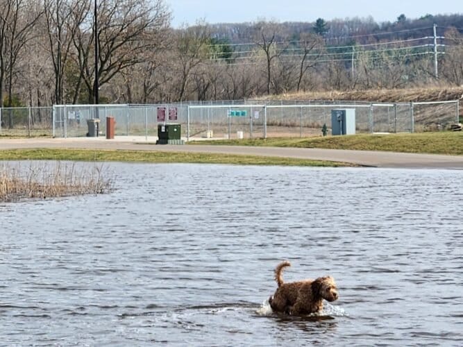 AC9h4noRvPzfITaZBZ4cuVVwRGl D3773UcGSs3gR5G4Y4m5eVNv2kzU8EwobBmUdzSt0OUonAaYIn kmfX1BuZ5TdJjHN9vyMCe590W53OO ssH7afmXGDJuW35wgfTPPPlOgYuFCXnw1600 h1000 k no