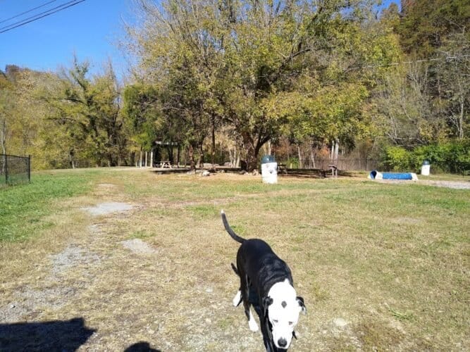 AC9h4noRvixdkkVkP vaajZ7f r9IET1Z L8747vRjr7vzZuX 8bJ6XvocTwFj6F06vJ86h0zeG8YQSnyjtiYnvJncK4 0y5ZWPTXtGc94id XBrEV9kMowtA61g4W0BRTwdWMmYqTzzw1600 h1000 k no