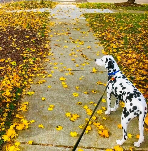 AC9h4noRwsWznTEdkV7xJ8C4qeINWAROYLgTAKNFGhHgkXyKkeLcDrz4DEM3AoCsN4FPrZ8grMQtnzOT4V6L0MuC9LVoSyfKRBD pSD2YF0x5Vyl0bLYviAETTXAKTiX3J4x27h5MwFxDQw1600 h1000 k no